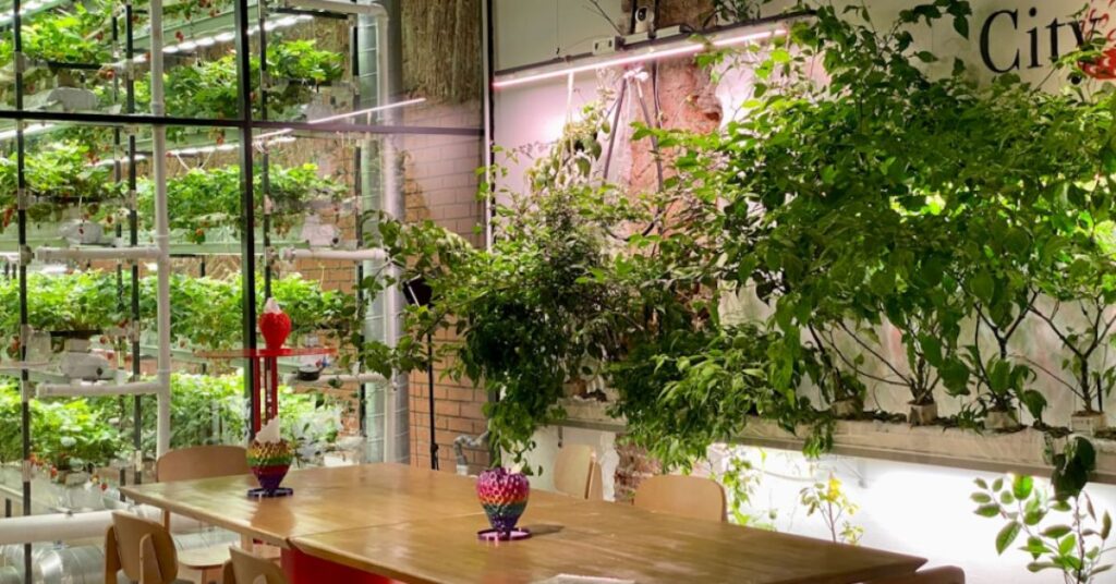 Integrating Landscaping and Decor