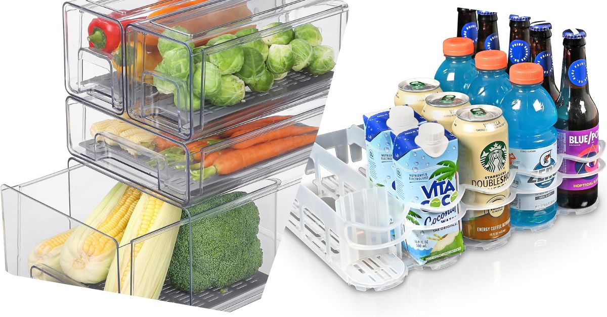 best storage containers for refrigerator
